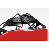 スケーター ZKHM1ｸﾏﾉｶﾞﾂｺｳ 自転車用こどもヘルメット くまのがっこう