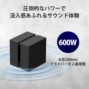 SONY サブウーファー SA-SW9-イメージ3