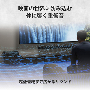 SONY サブウーファー SA-SW9-イメージ5