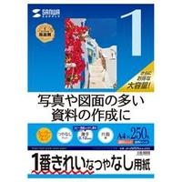 サンワサプライ インクジェット用スーパーファイン用紙(A4サイズ・250枚入り) JP-EM5NA4-250