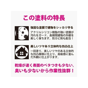 カンペハピオ 水性シリコン凹凸外かべ用 アイボリー 4K FCB641M-イメージ5