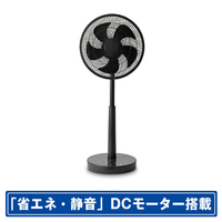 シロカ DCモーター搭載リモコン付リビング扇風機 シロカのポチタマ扇 ダークグレー SF-V251(HD)