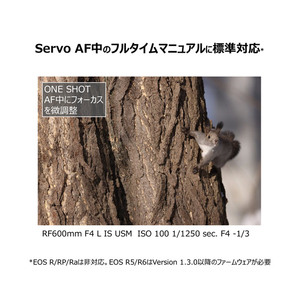 キヤノン 大口径超望遠レンズ RF600mm F4 L IS USM RF6004LIS-イメージ2
