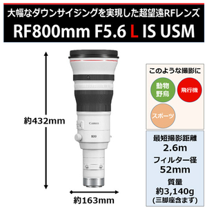 キヤノン 単焦点 望遠レンズ RFレンズ RF800mm F5.6 L IS USM RF80056LIS-イメージ2