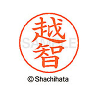 シヤチハタ ネームペン用ネーム シルバー 既製 越智 FC47774-X-GPS-2074