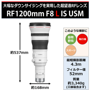 キヤノン 単焦点 望遠レンズ RFレンズ RF1200mm F8 L IS USM RF12008LIS-イメージ2