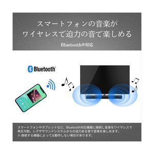 TVS REGZA レグザ サウンドシステム TS3100Q-イメージ5