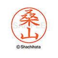 シヤチハタ ネームペン用ネーム シルバー 既製 桑山 FC46787-X-GPS-1016