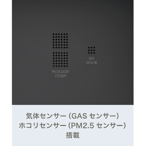 スタドラフォーム 空気清浄機 Roger 2.0 Big ブラック 2449-イメージ5