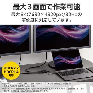 エレコム USB Type-C(TM) - DisplayPort(TM)変換アダプター 2ポート(12cm) ブラック AD-CDP2BK2-イメージ4