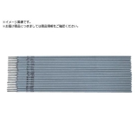SUZUKID/溶接棒 スターロードD-1 低電圧異種金属用 FCA791W-8598279