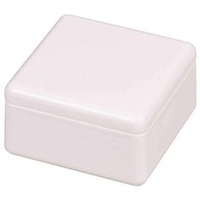 パール金属 おにぎらずCube Box ホワイト C451