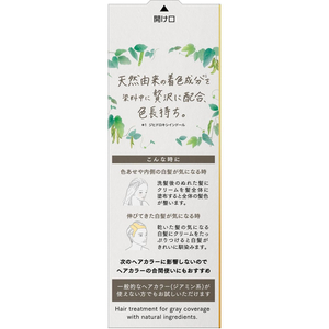 KAO ブローネ リライズ ナチュリラ カラートリートメント アッシュブラウン 付替 FC456TF-イメージ2