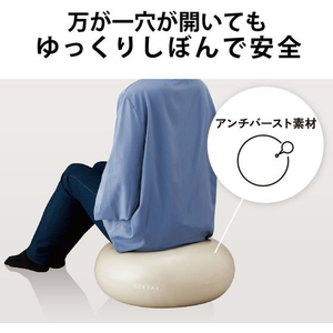 エレコム バランスボール 50cm 空気ポンプ付 FCN6541-HCF-BBDLIV-イメージ5