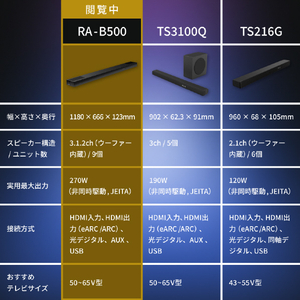 TVS REGZA レグザサウンドシステム RA-B500-イメージ11