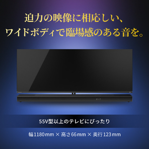 TVS REGZA レグザサウンドシステム RA-B500-イメージ6