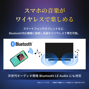 TVS REGZA レグザサウンドシステム RA-B500-イメージ9