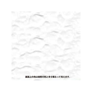 カンペハピオ 水性シリコン凹凸外かべ用 ホワイト 16K FCB649M-イメージ2