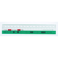 西敬 16cmチェック直線定規(ヘッダー式) FC55866-HR-100G