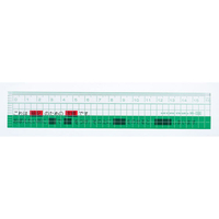 西敬 16cmチェック直線定規(ヘッダー式) FC55866-HR-100G