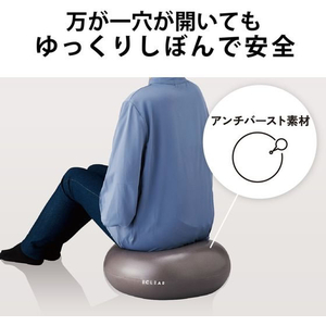 エレコム バランスボール 45cm 空気ポンプ付 FCN6542-HCF-BBDMGY-イメージ5
