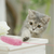 ドギーマンハヤシ じゃれ猫 猫のお遊びカラ振る草 3本セット ﾈｺﾉｵｱｿﾋﾞｶﾗﾌﾙｸｻ3ﾎﾝｾﾂﾄ-イメージ3