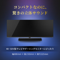 プ*0様 K1【used】REGZA サウンドシステム　RA-B100 Blue TVS REGZA RA-B100 REGZAサウンドシステム |エディオン公式通販