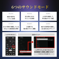 TVS REGZA REGZAサウンドシステムRA-Ｂ100 レグザ オンラインストア / レグザ サウンドシステム 形名：RA-B100