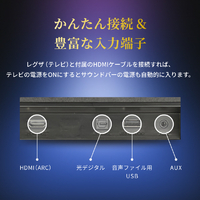 TVS REGZA RA-B100 REGZAサウンドシステム |エディオン公式通販