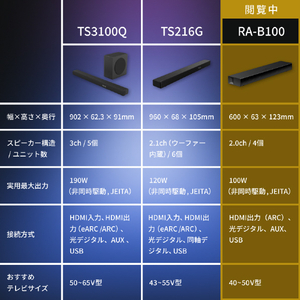 TVS REGZA REGZAサウンドシステム RA-B100-イメージ10