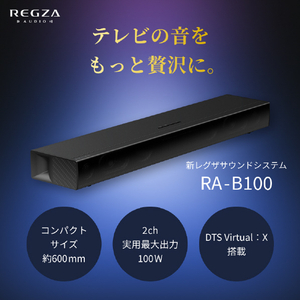 TVS REGZA REGZAサウンドシステム RA-B100-イメージ3