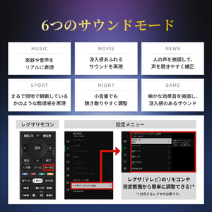 TVS REGZA REGZAサウンドシステム RA-B100-イメージ7