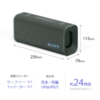 新品未開封　SONY SRS-ULT30 HC フォレストグレー SONY SRS-ULT30 H ワイヤレスポータブルスピーカー フォレスト