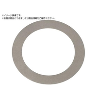 IWATA/シムリングFE 10枚入 T0.3 RF028040030 FCB004E-1744751
