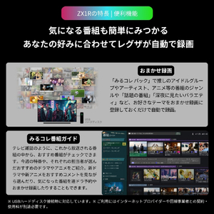 TVS REGZA 116V型4K対応液晶テレビ 116ZX1R-イメージ11
