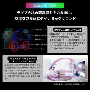 TVS REGZA 116V型4K対応液晶テレビ 116ZX1R-イメージ9