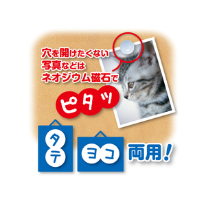 アスカ マグピンコルクボード LL 900×600mm F125964-CB336-イメージ3