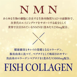 明治 アミノコラーゲン NMN 196g FCE915L-イメージ2