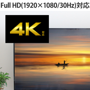 エレコム HDMIキャプチャー ブラック AD-HDMICAPBK-イメージ5