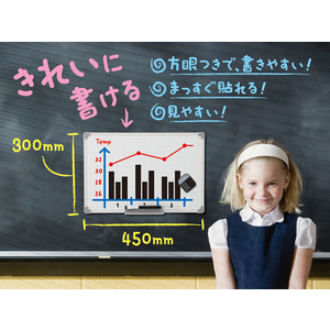 アスカ セクションボード Mサイズ 300×450mm F125965-VWB058-イメージ2