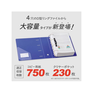 リヒトラブ リクエスト D型リングファイル A4 青 FCE169N-G1290-8-イメージ3