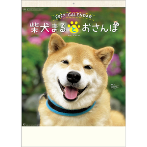 新日本カレンダー カレンダー 2027年度版柴犬まるとおさんぽ 2027CL393ｼﾊﾞｲﾇﾏﾙﾄｵｻﾝﾎﾟ-イメージ1