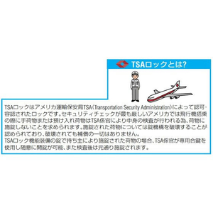 エスコ 31mm ダイアル錠 アメリカ税関認定 FCB452P-EA983S-28-イメージ4