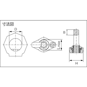 ルッドリフティングジャパン アイナットスター VRM M30 4.5M30342660 FC322HB-8195665-イメージ4