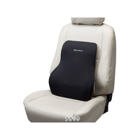 ボンフォーム ファイテン 38×47cm(背当て) BK FCT9388-5815-08BK