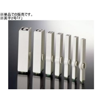 サンビー エンドレススタンプ 単品 英字2号 「F」明朝体 FCD640M-EN-BEG2-F