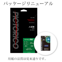 PICTORICO ハガキ フォトペーパー 20枚入り ピクトリコプロ PPR200-HG/20