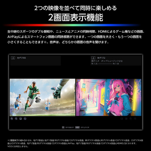 ハイセンス 65V型4K液晶テレビ e angle select RGB U98Sシリーズ RGB 65U98S-イメージ16