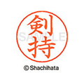 シヤチハタ ネームペン用ネーム シルバー 既製 剣持 FC46803-X-GPS-1032