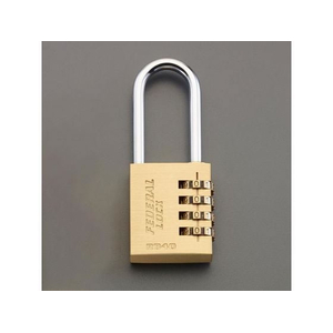 エスコ 30x270mmくり抜き用丸のみ EA588HG-30 1個 エスコ 30x270mm くり抜き用丸のみ EA588HG-30